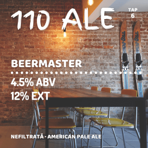 110 Ale Beermaster